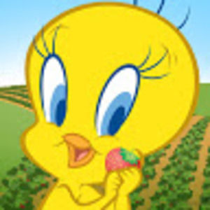 Meet your Posher, Jae